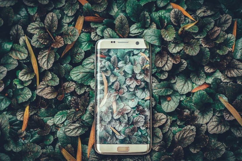 重庆小程序定制开发